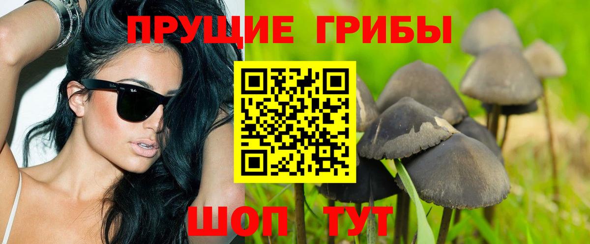 Псилоцибиновые грибы ЛСД  Галлюциногенные грибы ЛСД  Можга  Вход с VPN 